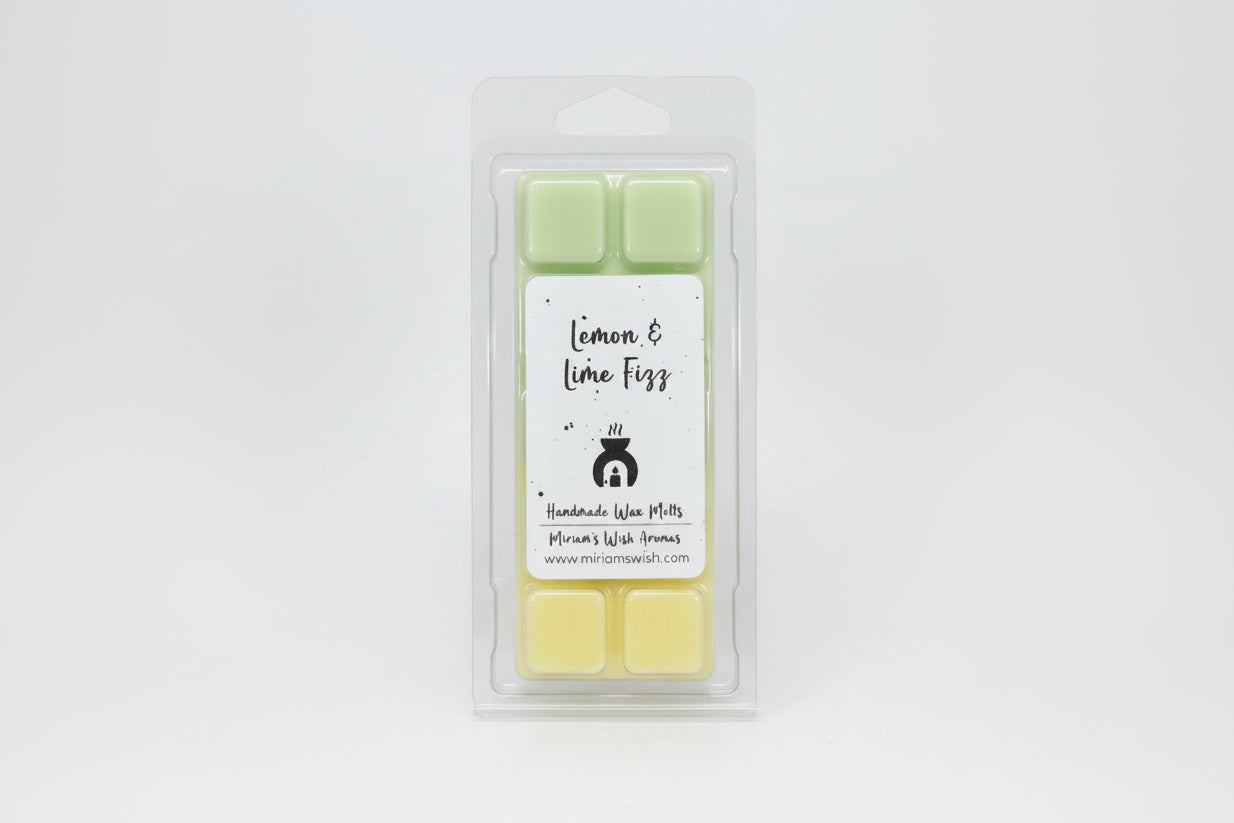 Lemon & Lime Fizz