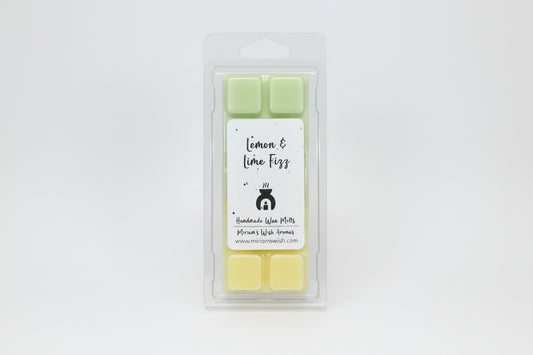 Lemon & Lime Fizz
